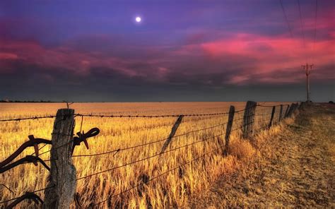Sunset Fence Fence Wires Nature Landscapes Fields Wheat Grass Pole