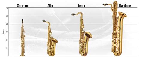 Vijf Saxofoonfeiten Die Je Misschien Niet Weet Li Linguas