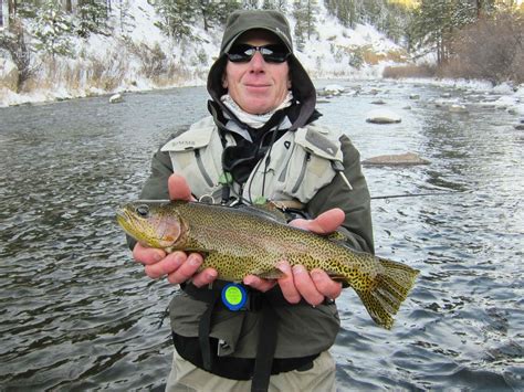 Fly Fishing In The Winter—10 Tips To Catch More Trout Pat Dorsey Fly