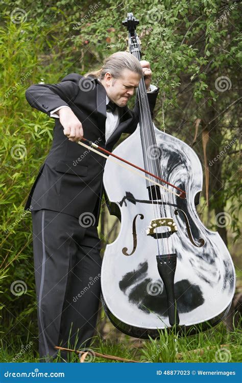 Man Playing The Double Bass In Park Stock Image Image Of Perform