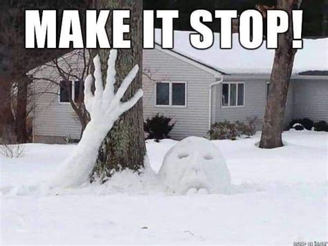 Pin By Jeanine Bauman On Winter Wonderland Winter Humor Snow Meme