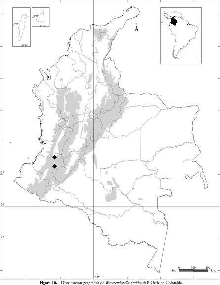 Mapa PolÍtico De Colombia Para Imprimir Y Colorear Mapa