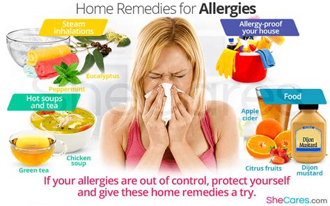 Are Home Remedies The Best Treatment For Allergies Shecares