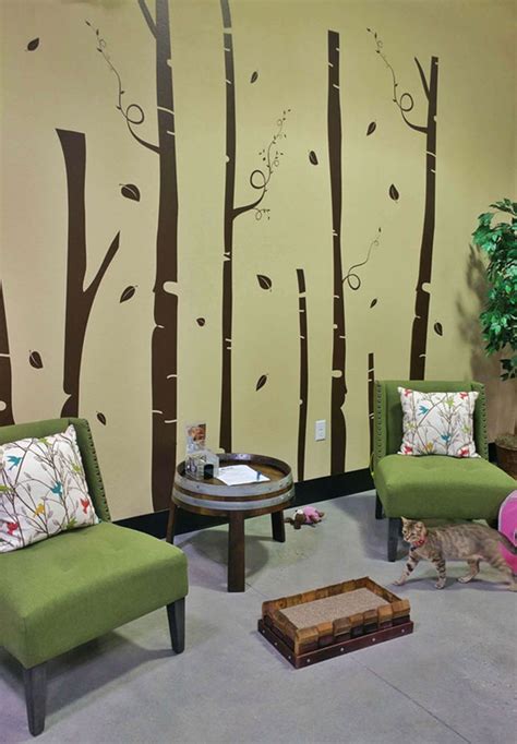 Now in our 14th year black cat cafe has become the iconic mainstay of main street in historic main street. The Orlando Cat Café is the (adoptable) cat's meow ...