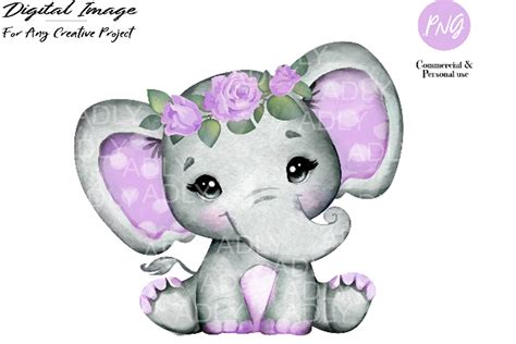 Purple Floral Elephant Clip Art Illustrations ~ Creative Market