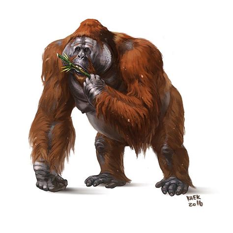 Gigantopithecus Blacki 步氏巨猿 Prehistoric Wildlife Prehistoric World