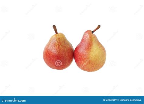 Two Red Pears Stock Image Image Of Pair Yellow Gourmet 73272369