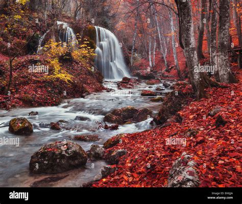 Forest Waterfall Wallpaper Hi Res Stock Photography And Images Alamy