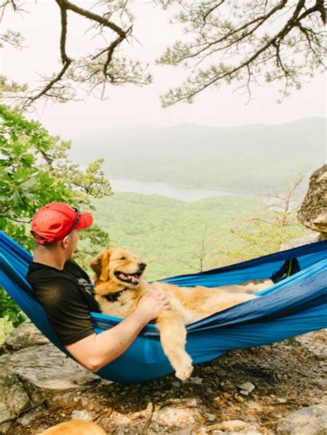 Maybe you would like to learn more about one of these? 20+ Pet Friendly Virginia Getaways in 2020 | Pet friendly ...