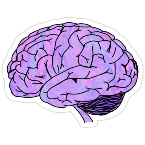 Purple Pink Blue Brain Stickers By Andilynnf Redbubble