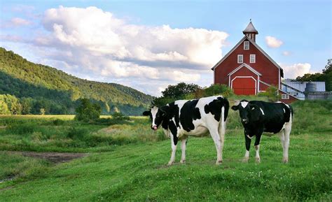 The Most Common Types Of Farms For Sale Near Me And How To Choose