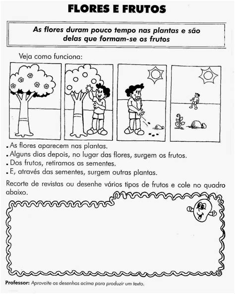 Atividade Sobre As Plantas 3 Ano