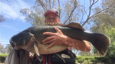Darling River Fish Kill One Of The ‘worst In Australian History The