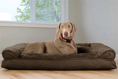 5 Best Large Dog Beds For Big Breeds Top Recommendations And Guide