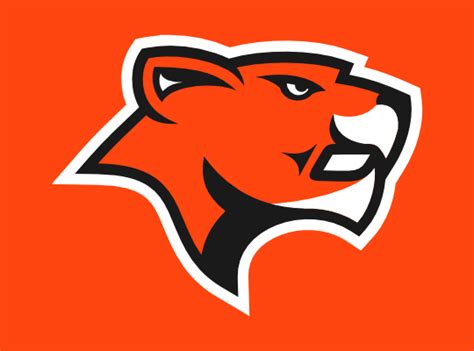 Check spelling or type a new query. Sports Logo Spot: From the Sox Drawer - BC Lions