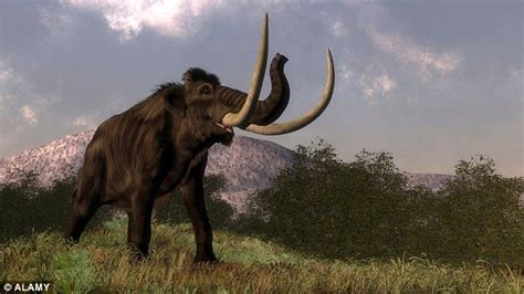 Woolly Mammoths Could Become Protected Species 4000 Years After