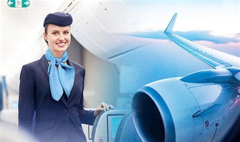 Flights Cabin Crew Reveals What It Means When You See Flight