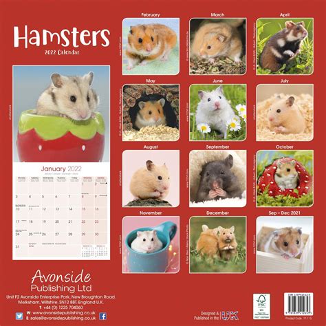 Hamsters Calendar Animal Calendars Pet Prints Inc
