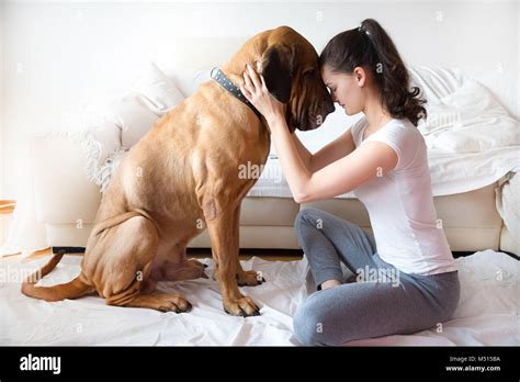 Beautiful Young Woman Big Dog Hi Res Stock Photography And Images Alamy