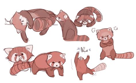 Red Panda Doodles By Makinsushi On Deviantart