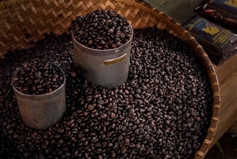 The cronat gold is a lighter roast and is said to be a bit smoother than the kronung and has flavor notes of chocolate, but both are a good option. What is the best Indonesian coffee? - Quora