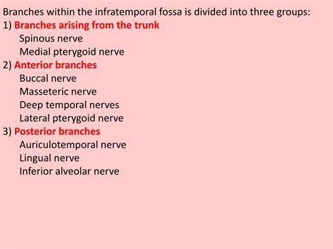 Ppt Infratemporal And Pterygopalatine Fossae Powerpoint Presentation