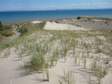 Open Dunes Michigan Natural Features Inventory