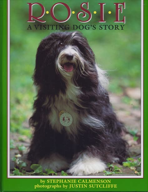 Best Dog Books Q And A With Stephanie Calmenson Rosie A Visiting Dog