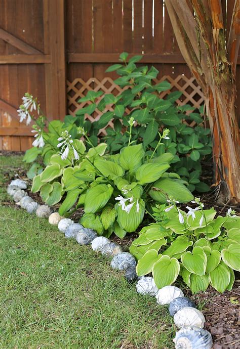 Spray with a water hose to set the sand. 14 Creative Garden Edging Ideas That Will Make Your Garden ...
