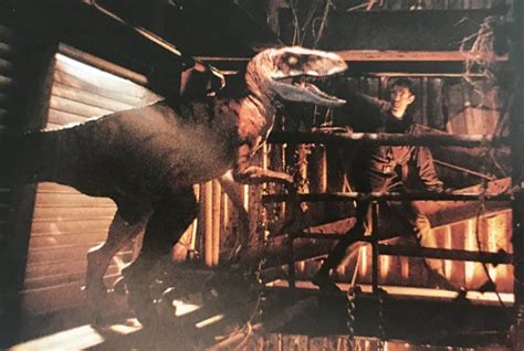 Animatronic Velociraptor In Rare Tlw Jurassic Park 1993 Photo