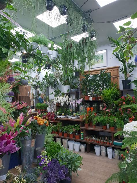Send flowers and gifts to dammam. This cute flower shop in Brighton : CozyPlaces