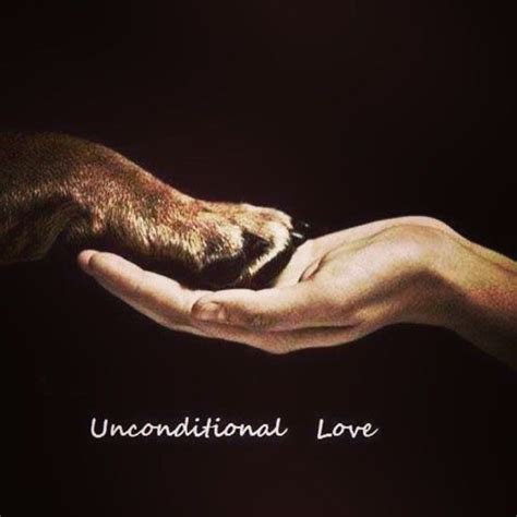 Unconditional Love Dogs Dog Quotes Pets