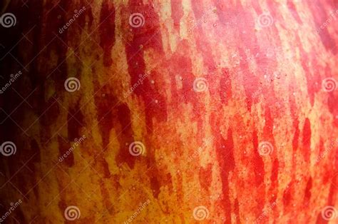 Red Apple Texture Stock Photo Image Of Dieting Skin 104686158