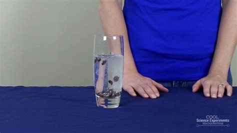 Dancing Raisins Science Experiment Simple Instructions And Video Tutorial