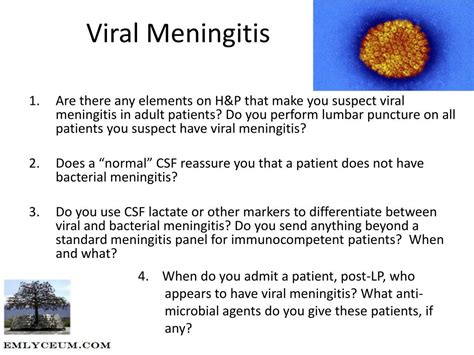 Ppt Viral Meningitis Powerpoint Presentation Free Download Id2686365