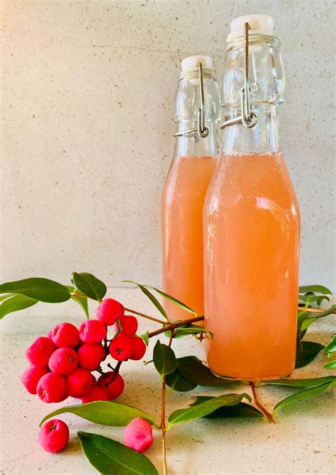 lilly pilly cordial easy read recipes by leanne foreman
