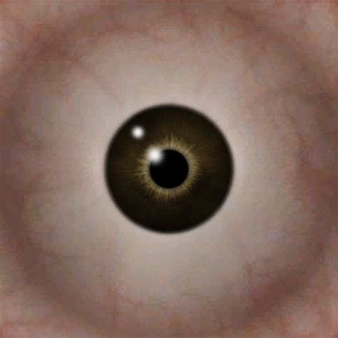 Brown Eye Texture By Physkomere On Deviantart