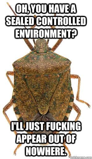 Stink Bug Meme Stink Bugs Funny You Dont Say Funny Animals Hilarious