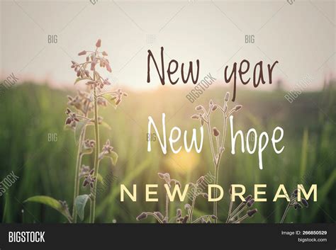 New Year Hope Quotes Photos Cantik
