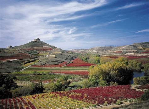 Tipple Tips Wine Of The Week Rioja Reserva Rednorthern Spain