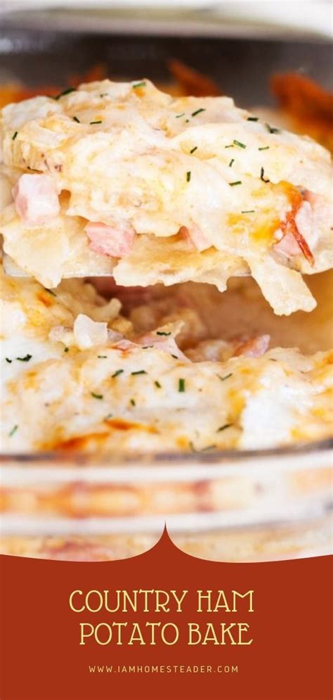 The end result is a delectable casserole that the whole family enjoys. Savory ham and perfectly cooked potatoes with thick and ...