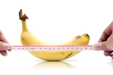 Here Is The Average Penis Length According To Science Salon Com
