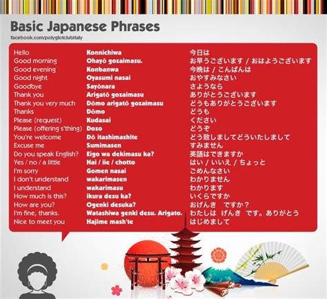 Basic Japanese Phrases Japanese Language Japanese Phrases Learn