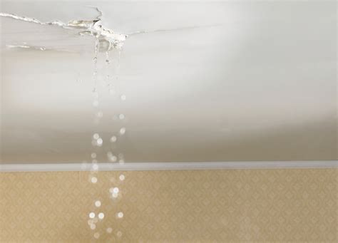 How To Deal With Leaking Ceilings The Constructor