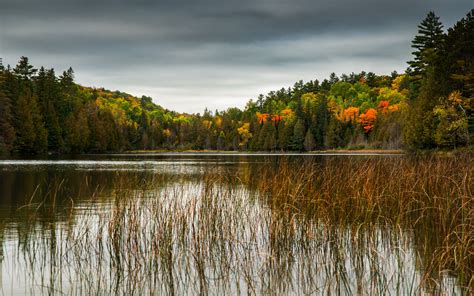 Download Wallpaper 3840x2400 Forest Trees Lake Landscape Autumn 4k