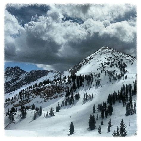 Alta Ski Area | Alta ski, Ski area, Skiing