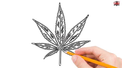 How To Draw A Pot Leaf Step By Step Easy For Beginnerskids Simple