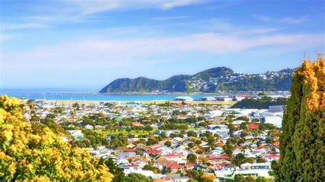 Wellington Ville 2021 Les 10 Meilleures Visites Et Activités Avec