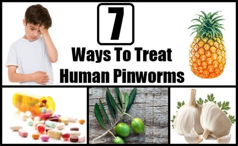 7 Ways To Treat Human Pinworms Home Remedy For Pinworms Natural