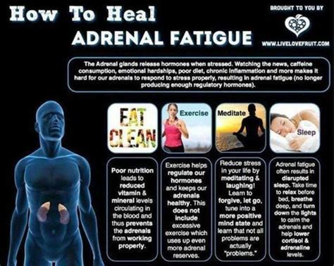 Adrenal Fatigue And Its Remedies Dont Forget To Share This To Your